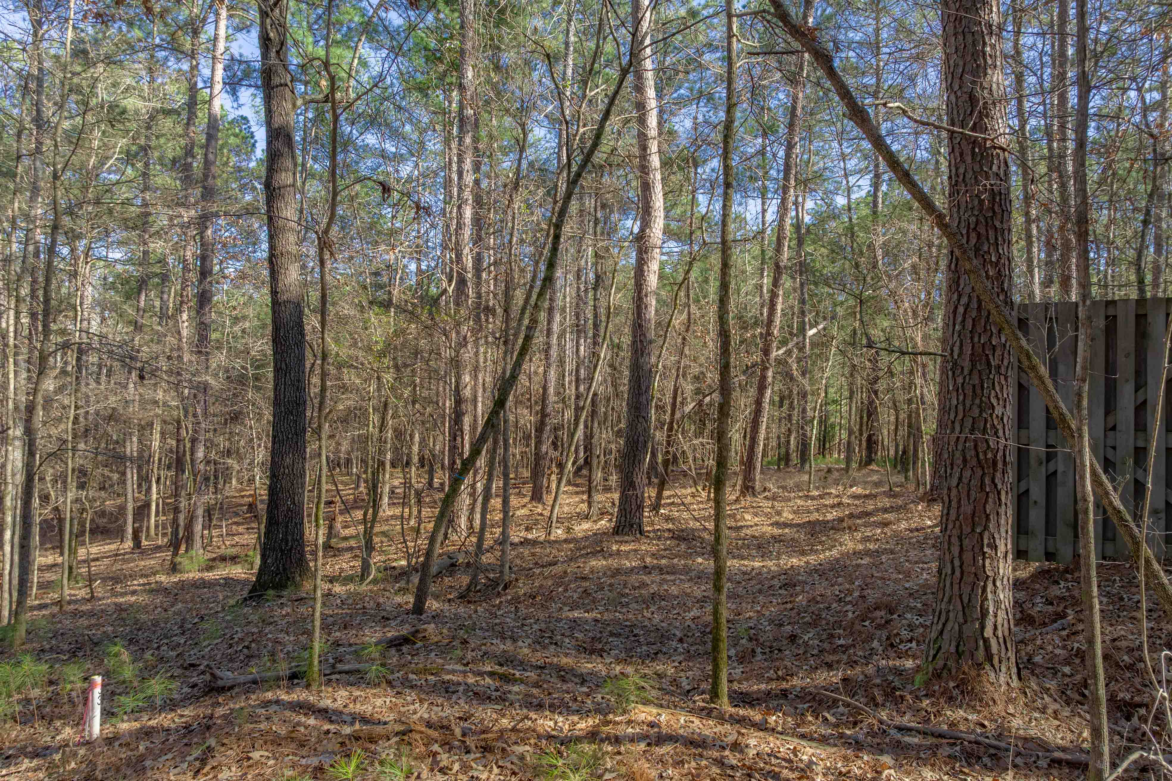 1030 Aker's Knoll image 9